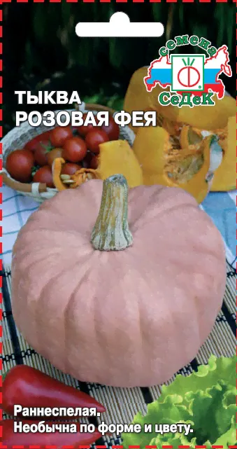 Тыква Розовая Фея . Евро, 1-0