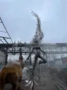 Фея на одуванчике