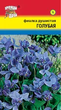 Фиалка душистая ГОЛУБАЯ ФЕЯ ц/п УУ
