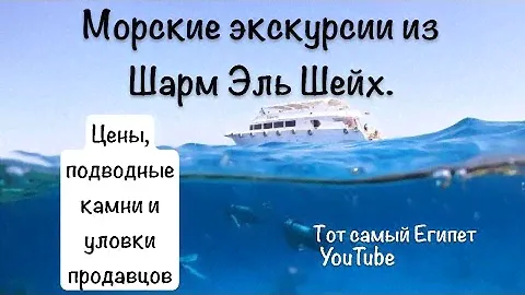 Нюансы и схемы обмана. Топ морских экскурсий из Шарм Эль Шейх Египет 2024.