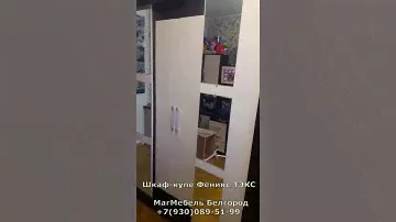 Шкаф купе Феникс 1.7 м ТЭКС